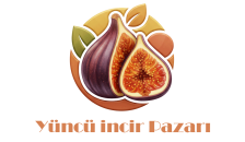 Yüncü İncir Pazarı